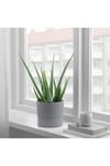 NYPON DEKORATİF PLASTİK SAKSI GRİ 15 CM