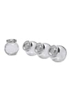 Rajtan Baharatlık Cam Kavanoz 4'lü Set ( 15 Cl )