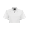 Rayne Crop Top