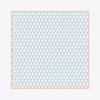 Zrf Monogram Desen İpek Twill Eşarp