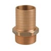 BRONZ ERKEK HORTUM REKORU 2''x52
