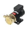 F3B-19 12V OIL CHANGE PUMP 3/8'' BSP