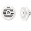 Soundpower Marin Twiterlı Hoparlör 100w Çap:15cm