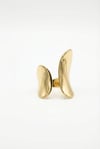 Sculpt Ring