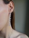 Sirius Earrings