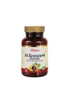 At Kestanesi Ekstraktı Kapsül 375 Mg* 60
