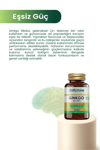 Gingko Biloba Aksu Vital Ginko Biloba Ginkgo
