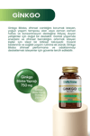 Gingko Biloba Aksu Vital Ginko Biloba Ginkgo