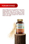 Ginseng, Arı Sütü, Polen, Propolis, C Vitamini Içeren Takviye Edici Gıda 80 Tablet