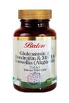 Glukozamin Kondroitin Msm Boswellia Akgünlük Glukosamin Bosvelya 120 Tablet X 1200 Mg