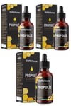 Sıvı Propolis Ekstresi Damlalıklı Cam Şişe 50 Ml 3 Adet Sepetse