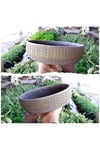 2 Adet Londra Dizayn Beton Aranjman ve Bonsai Saksısı Çiçek Desen Ağız Çap 20-30 cm çap
