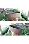 2 Adet Londra Dizayn Beton Aranjman ve Bonsai Saksısı Çiçek Desen Ağız Çap 20-30 cm çap