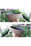 2 Adet Londra Dizayn Beton Aranjman ve Bonsai Saksısı Çiçek Desen Ağız Çap 20-30 cm çap