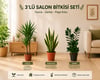 3'lü Salon Bitkisi Seti | Yucca, Zamia ve Paşa Kılıcı Canlı İç Mekan Bitkileri | Kolay Bakım