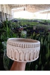 Antik Beyaz Kemerli Roma Tarzı Saksı 21*10 cm ve Para Çiçeği