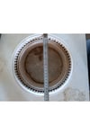 Antik Beyaz Kemerli Roma Tarzı Saksı 21*10 cm ve Para Çiçeği