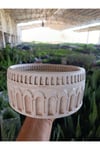 Antik Beyaz Kemerli Roma Tarzı Saksı 21*10 cm ve Para Çiçeği