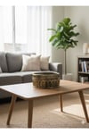 Benzersiz Roma Tasarımıyla Modern Ve Şık Metalik Gold Kolezyum Taş Saksı 20*10 (Çiçeksizdir)