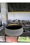 Beton orkide bonsai ve aranjman saksısı