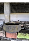 Beton orkide bonsai ve aranjman saksısı