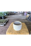 Beton orkide bonsai ve aranjman saksısı