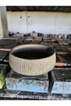 Beton orkide bonsai ve aranjman saksısı