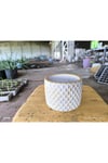 Beton orkide bonsai ve aranjman saksısı