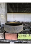Beton orkide bonsai ve aranjman saksısı