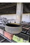 Beton orkide bonsai ve aranjman saksısı