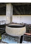 Beton orkide bonsai ve aranjman saksısı