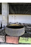 Beton orkide bonsai ve aranjman saksısı