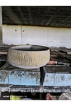 Beton orkide bonsai ve aranjman saksısı