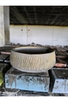 Beton orkide bonsai ve aranjman saksısı