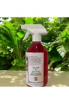 Bitki Besini Salon Ve Balkon Bitkilerine Özel 500 ML