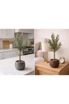Bonsai Zeytin Ağacı Alçı Saksıda – Dekoratif Canlı Zeytin Fidanı