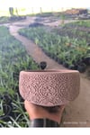 Dantel desenli Bonsai aranjman ve Orkide saksısı