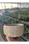 Dantel desenli Bonsai aranjman ve Orkide saksısı no 1