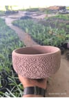 Dantel desenli Bonsai aranjman ve Orkide saksısı