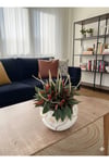 Dekoratif Saksı da Peperomia caperata 'Rosso' Bitkisi