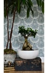 Dekoratif Saksıda Bonsai Ficus Gingseng 2500 gr Gövde 50 cm