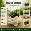 Ejderha Figürlü Taş Saksıda 2 Tür Canlı Sukulent | Dekoratif Hediye Bitkisi
