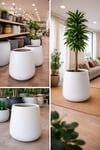 Fiberglas saksı hafif beton yükseklik 50 genişlik 35 santim