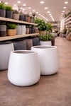 Fiberglas saksı hafif beton yükseklik 50 genişlik 35 santim