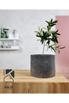 Hafif Beton Saksı (terrazo) Cylinder 20x15 Siyah