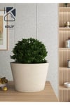 Hafif Beton Saksı (terrazo) Flora (s) 42x45 Krem