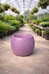 Honeycomb Desenli Mor Saksı