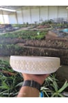 Kahire dizayn taş Orkide bonsai ve aranjman saksısı no 2