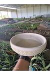 Kahire dizayn taş Orkide bonsai ve aranjman saksısı no 2