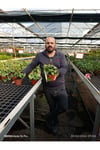 Karpuz Desenli Peperomia Watermelon Saksılı Canlı Bitki – Dekoratif Ev Ofis Bitkisi Umut bitkisi